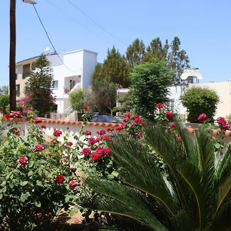 Delta 6 Nicosia *